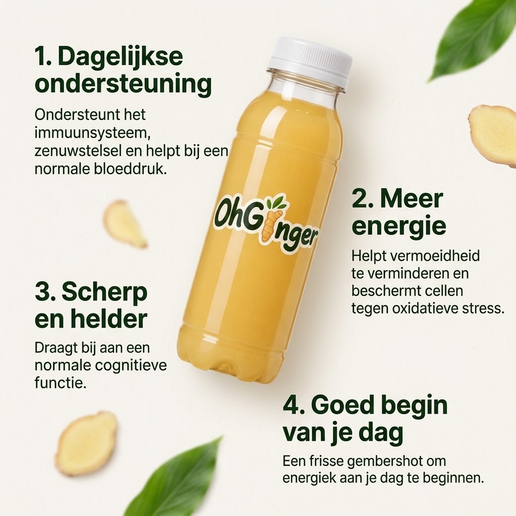 COMBIDEAL 3 FLESSEN - 3 SMAKEN